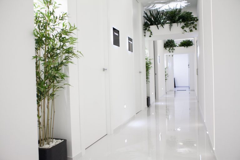 Grupo de Freitas 5 Clinica de injerto capilar en Valencia