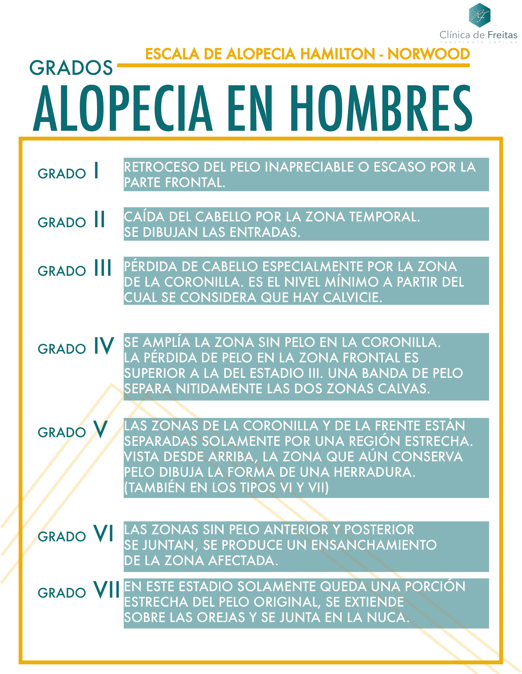 GRADOS ALOPECIA HOMBRE GRADOS ALOPECIA HOMBRE