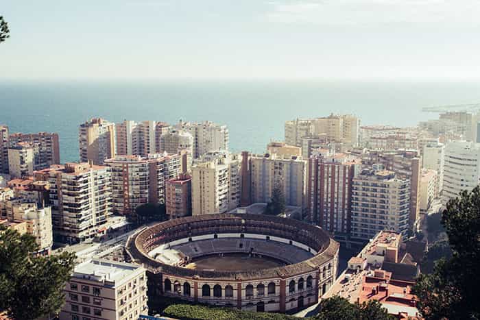 Injerto capilar en Malaga